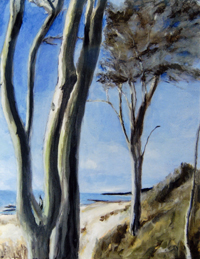 Bildergalerie